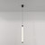 Maytoni Ray Black with White Diffuser 20W Pendant Light 