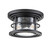 Flambeau Lighthouse 2 Light Black IP44 Flush Ceiling Light 