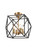 Franklite Anglit 4 Light Black with Gold Caged Pendant Light 