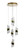 Oaks Lighting Zanthus 5 Light Gold with Clear LED Cluster Pendant Light 