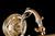 Maytoni Picasso 2 Light Polished Gold Picture Light - Clearance 