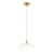Eltham Brushed Aged Brass with Natural Cable Camellia Clear Glass Shade Pendant Light