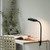 Leuchten Direkt Kelly Black LED Clamp Table Lamp 