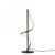 Paul Neuhaus Q-Swing Anthracite with Remote Control LED Table Lamp 