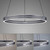 Paul Neuhaus Pure E-Loop 2 Light Grey LED Motorised Ring Pendant Light 