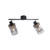 Pasqual 2 Light Black with Adjustable Smoke Glass Bar Ceiling Spotlight
