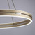 Paul Neuhaus Pure E-Loop 2 Light Matt Brass LED Motorised Ring Pendant Light 