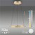 Paul Neuhaus Pure E-Loop 2 Light Matt Brass LED Motorised Ring Pendant Light 