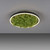 Green Ritus Moss Ring 20W LED Flush Ceiling Light