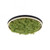 Leuchten Direkt Green Ritus Moss Ring 20W LED Flush Ceiling Light 