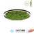 Leuchten Direkt Green Ritus Moss Ring 28W LED Flush Ceiling Light 