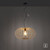 Racoon Natural Wood Pendant Light