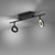 Paul Neuhaus Sileda 2 Light Anthracite Adjustable LED IP44 Bathroom Ceiling Light 