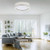 Leuchten Direkt Ritus Aluminium Ring 28W LED Flush Ceiling Light 