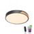 Paul Neuhaus Q-Bila Black with Opal Diffuser Flush Ceiling Light 