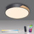 Paul Neuhaus Q-Bila Black with Opal Diffuser Flush Ceiling Light 