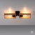 Franky 2 Light Black and Brown Wall or Ceiling Light