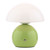 Caesar Green with Opal Glass Rechargable LED Table Lamp