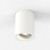 Osca Plaster 14cm Adjustable Surface Downlight