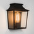 Richmond Black 23.5cm IP44 Outdoor Wall Light