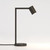 Ascoli Bronze Adjustable Spot Table Lamp