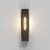 Harvard Bronze 35cm IP44 Wall Light