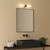 Padova 2 Light Matt Black with White Frosted Diffusers IP44 Bathroom Wall Light