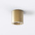 Kos Solid Brass Round IP44 Outdoor Ceiling Downlight