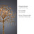 ICICLE 5 Light Aged Brass Floor Lamp