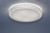 Leuchten Direkt FRIDA Crackled and Crystal Effect Dimmable Smart Ceiling Light