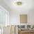 Paul Neuhaus Q-AMIRA Black and Brass Ringed Smart LED Ceiling Light