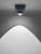 Paul Neuhaus Q-MIA Anthracite Adjustable Smart LED Ceiling Light