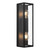 Eglo Lighting Amezola 2 Light Black with Clear Glass Wall Light