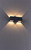 Paul Neuhaus MARCEL 2 Light Anthricite LED Wall Light
