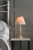 Ellis Satin-Painted Spindle with Blush Shade Table Lamp