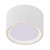 Fallon White LED Mounted Ceiling Spotlight
