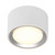 Fallon White/Brushed Steel LED Mounted Ceiling Spotlight