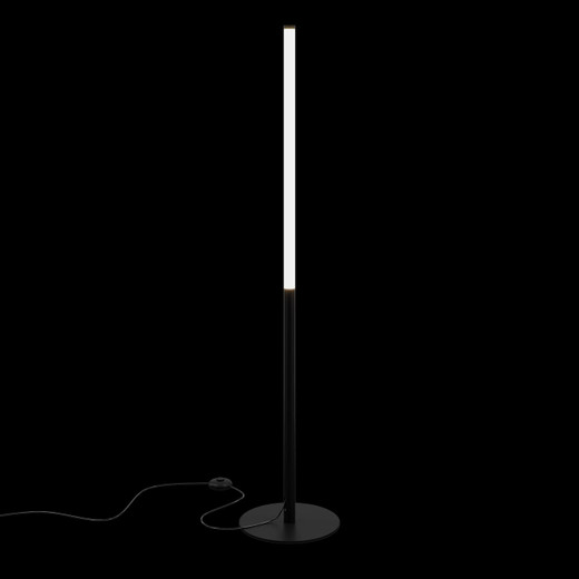 Maytoni Ray Black with Opal LED Floor Lamp