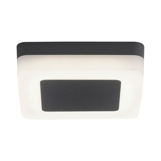 Paul Neuhaus Fabian Anthricite with Opal Round Edge Square LED Wall or Ceiling Light