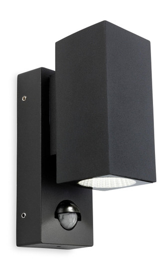 Firstlight Products Dino 2 Light Graphite with Sensor IP44 Up and Down LED Wall Light