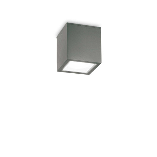Ideal-Lux Techo PL1 Anthracite with Frosted Glass Diffuser 9.5cm Surface Ceiling Light 