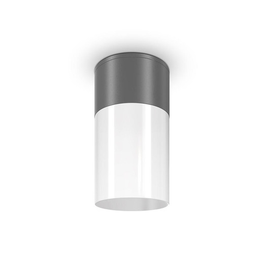 Maytoni Willis Grey with White Diffuser IP54 Ceiling Light 