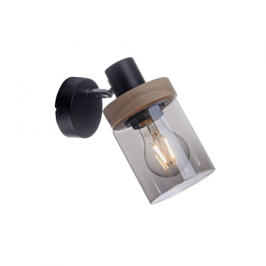 Pasqual Black with Adjustable Smoke Glass Wall Light