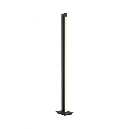 Paul Neuhaus Pure Lines Anthracite Remote Control LED Floor Lamp 