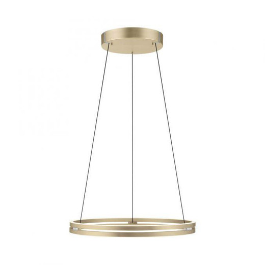 Paul Neuhaus Pure E-Loop 2 Light Matt Brass LED Motorised Ring Pendant Light 