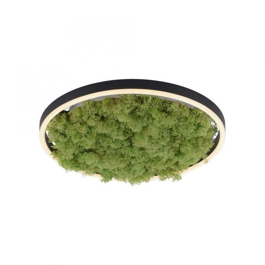 Leuchten Direkt Green Ritus Moss Ring 20W LED Flush Ceiling Light 