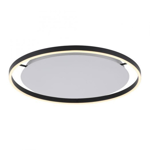 Leuchten Direkt Ritus Anthracite Ring 28W LED Flush Ceiling Light 