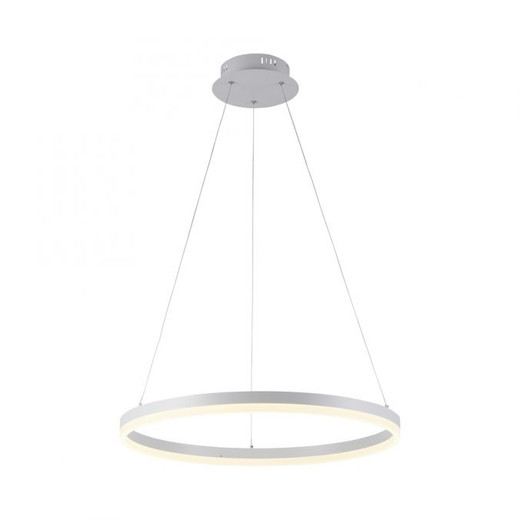 Titus White 260cm LED Ringed Pendant Light