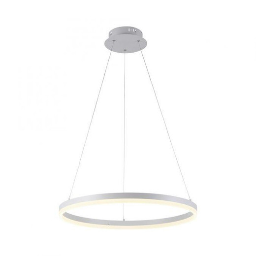 Paul Neuhaus Titus White 260cm LED Ringed Pendant Light 
