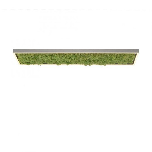 Leuchten Direkt Green Knut Moss with White LED Flush Ceiling Light 
